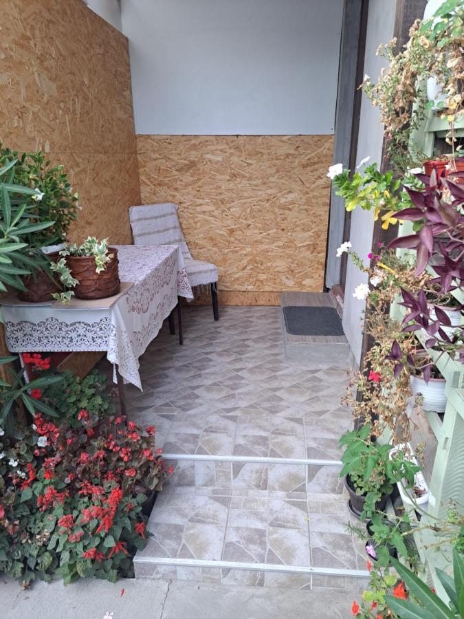 Apartment Capital Town Vk 14 נובי סאד מראה חיצוני תמונה